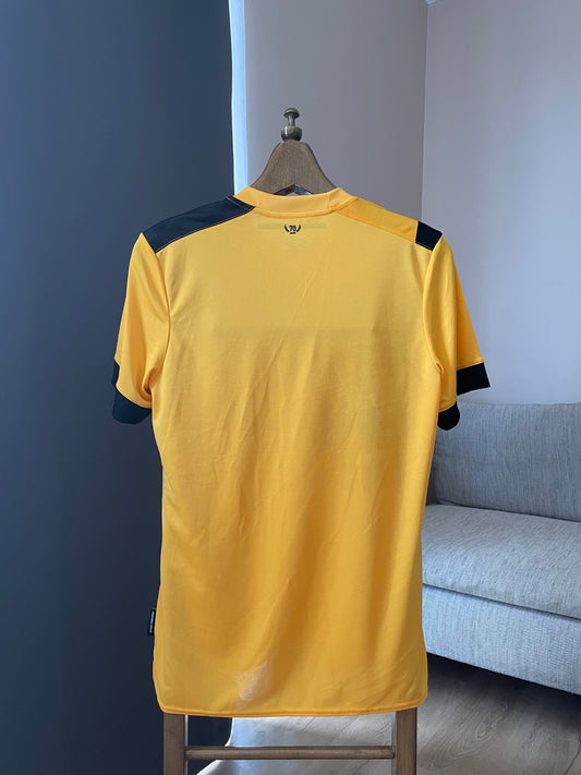 Dynamo Dresden 🇩🇪 '23 - '24 Heimtrikot (Fanversion) - Neu ohne Etikett